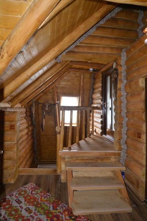 Vadul Lupilor Hotel Моисей Екстериор снимка